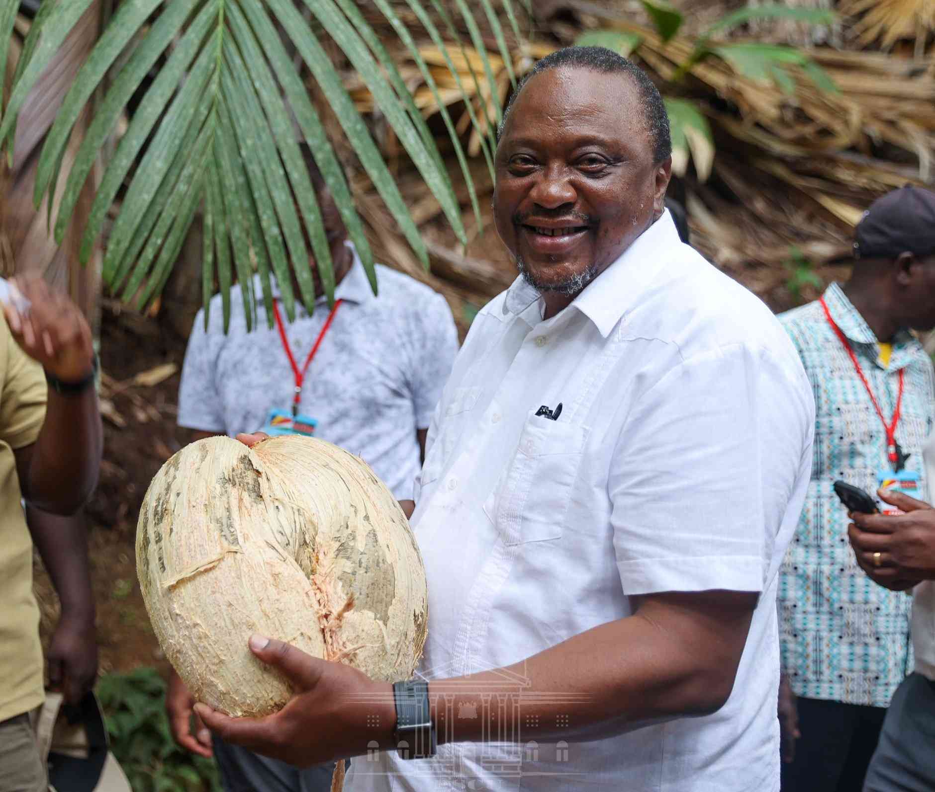 Uhuru humors Kenyans as he is photographed with rare sea coconut fruit
