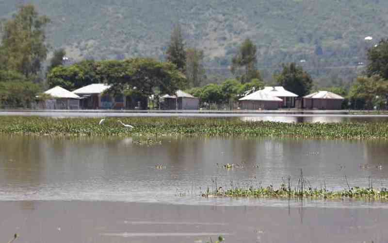 Too late for mitgation as Kenya braces for El Nino rains