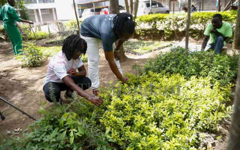 Schools, locals turn villages green, clean up River Njoro