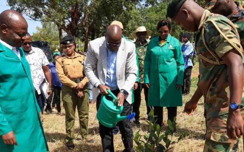 Don: Everyone should plant 300 trees annually
