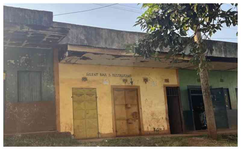 Letter from Murang'a's quiet Giatutu area and the few agri-innovations