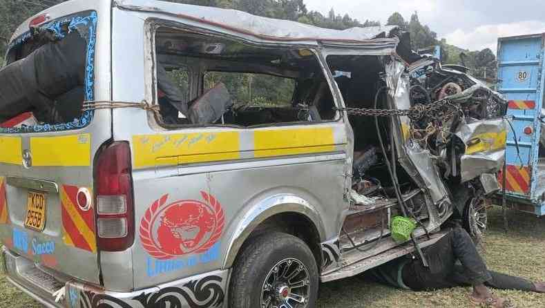 How trip to visit sick aunt became deadly journey for 14 family members