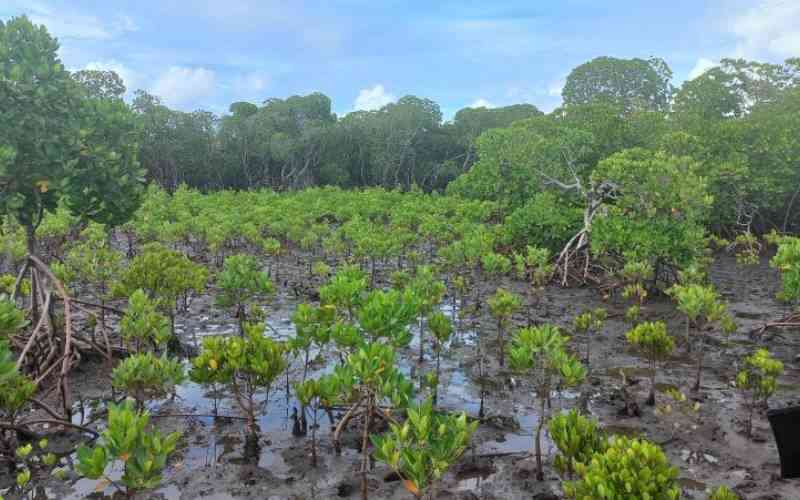 Grassroots conservation groups sound alarm ion widespread Biodiversity destruction