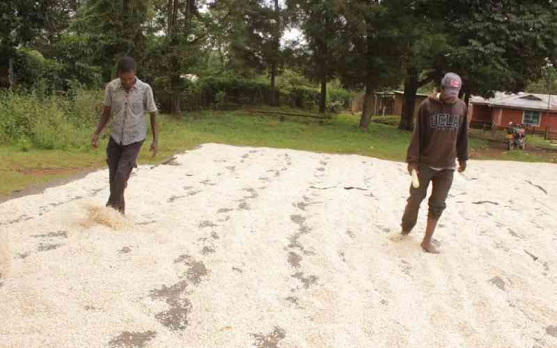 Address farmers' woes before imposing new tax