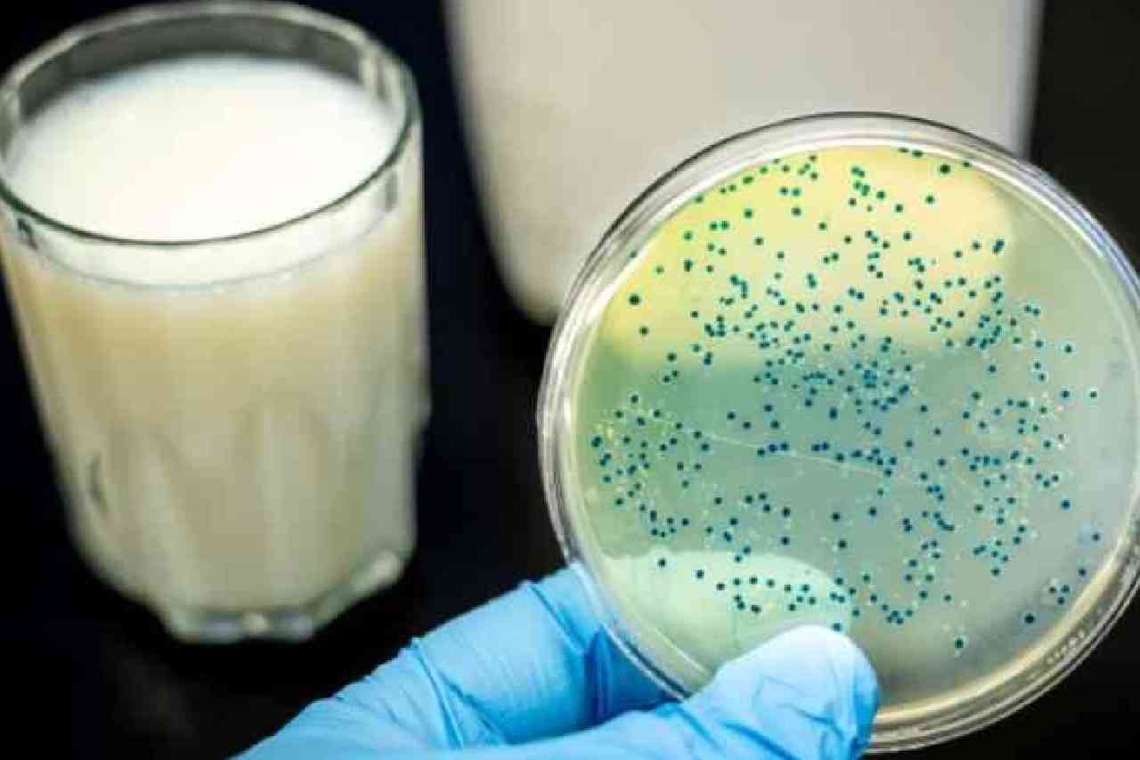 She kept working: Farmer's long and painful fight with brucellosis