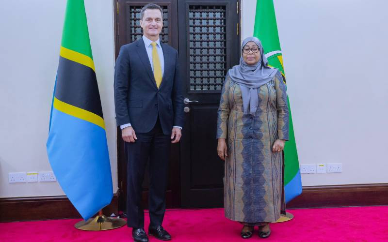 President Samia hosts US diplomat amid Tanzania ties review