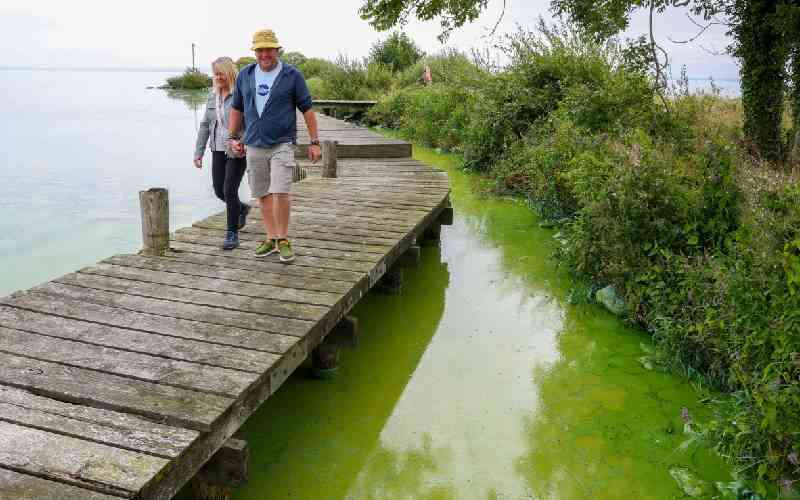 UK's largest lake 'dying' as algae blooms worsen