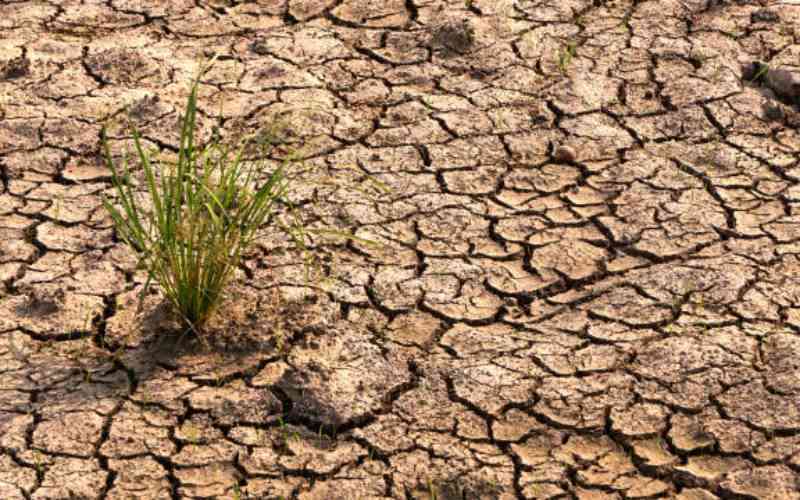 El Nio is coming for our food baskets. Is East Africa prepared?