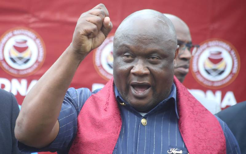 Democratic National Alliance party urges Ruto to retire after first term
