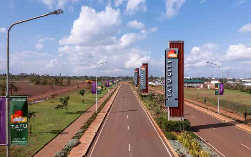 Tatu City hires more as business growth surges