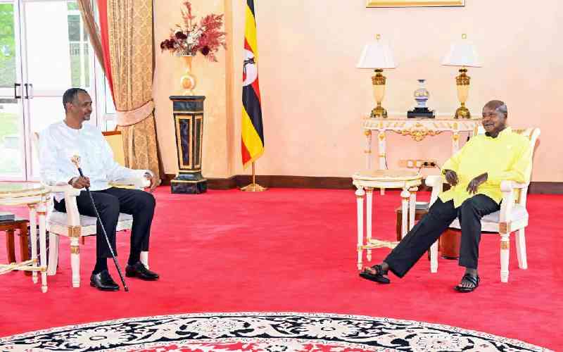 UN Security Council sanctions four RSF commanders over El-Fasher atrocities