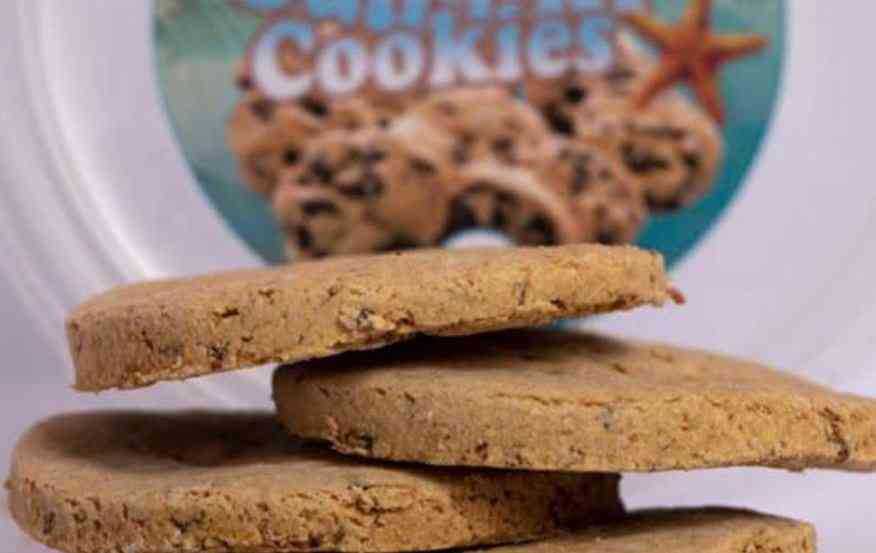 Edible innovation: How fish cookies are fighting hunger