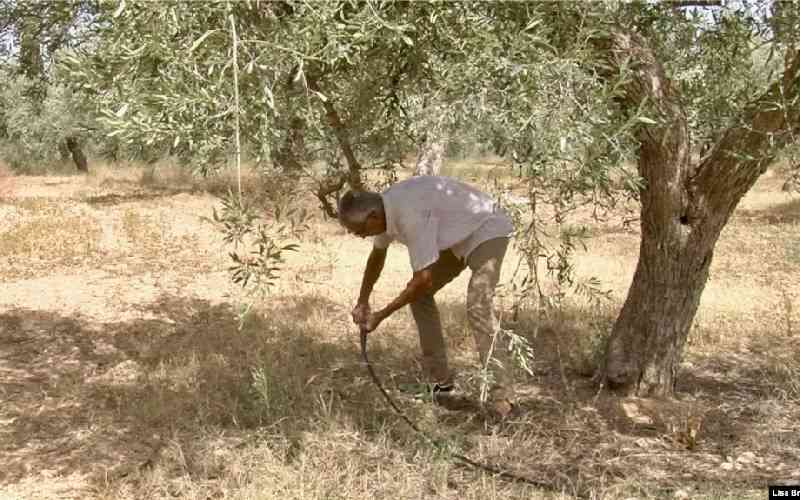 North Africa braces for a dangerously dry future