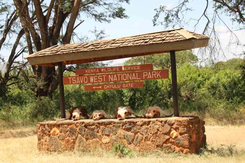 Two people killed after aircraft crashes in Tsavo