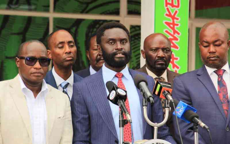 Mt Kenya leaders accuse Ruto of ethnic profiling