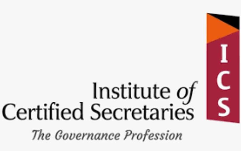Governance as a profession and a promotion of leadership integrity