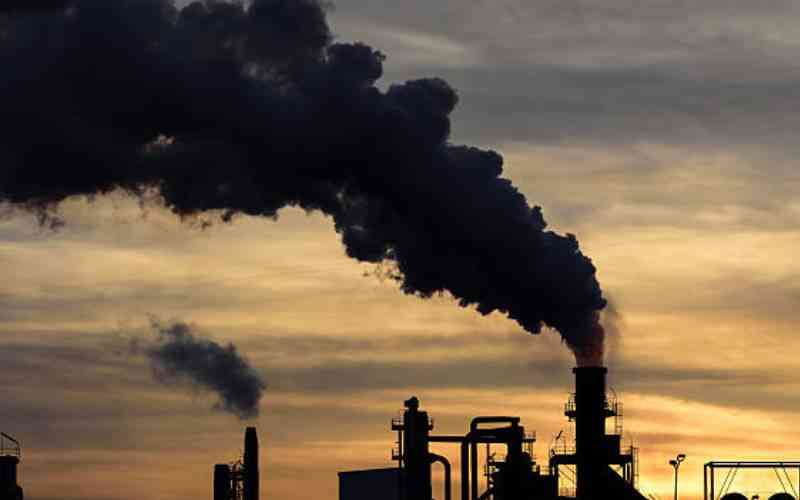 G20's political will key to Africa's climate fight
