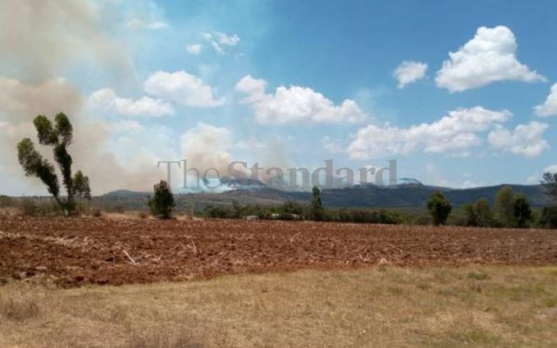 British Army pays Sh505m to over 7,500 Laikipia fire victims after court order