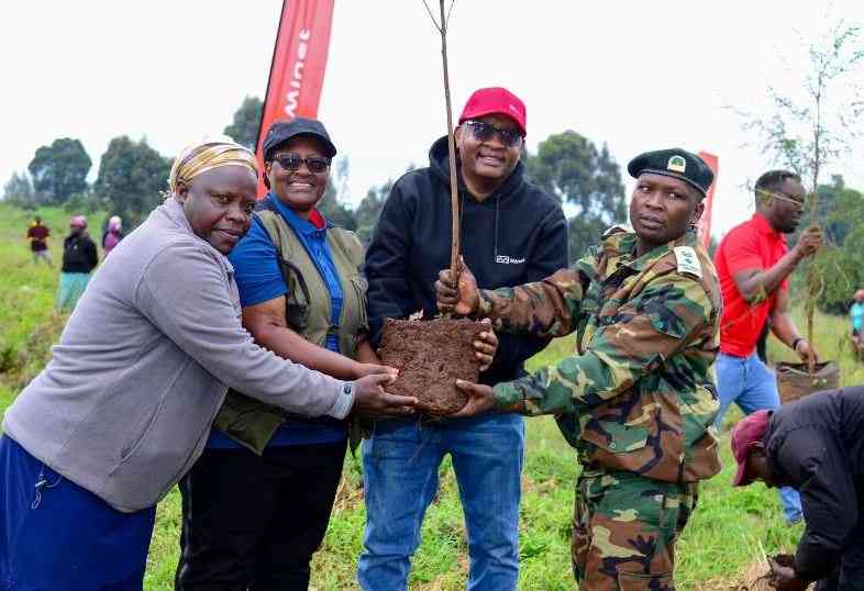Firm leads initiative to rejuvenate Kenya's forests