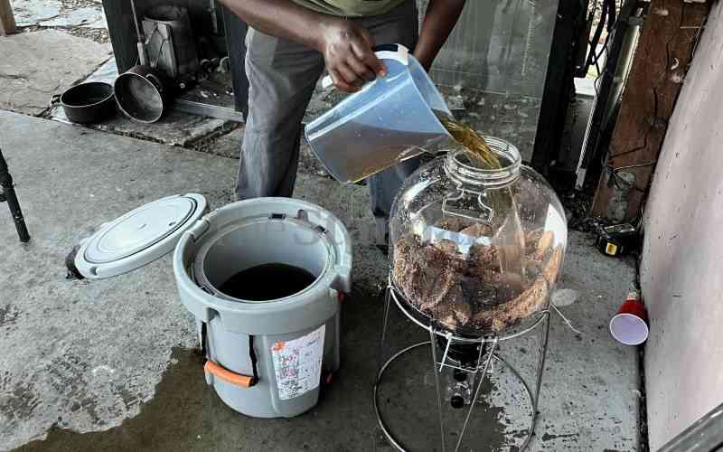 Cheers to Kenyan trio brewing muratina for fun in California