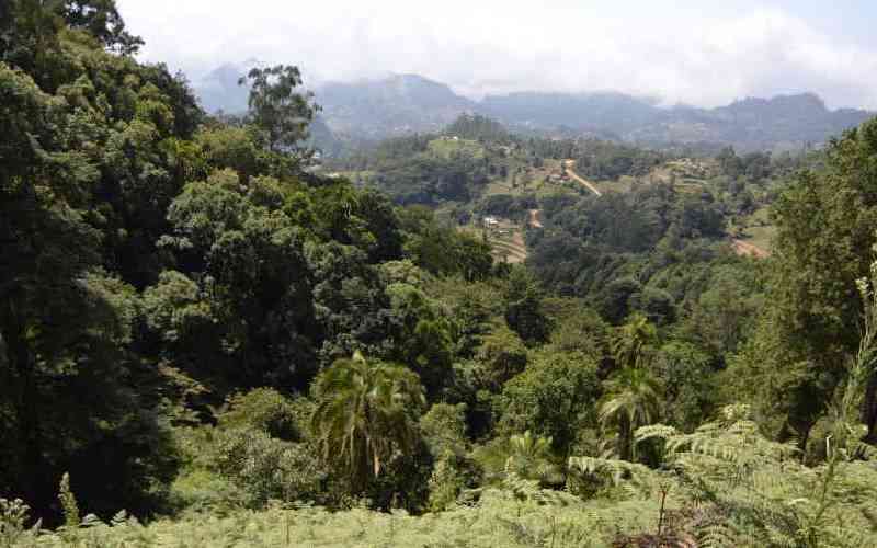 Kaya elders clash over alleged brokers and destruction of sacred forest