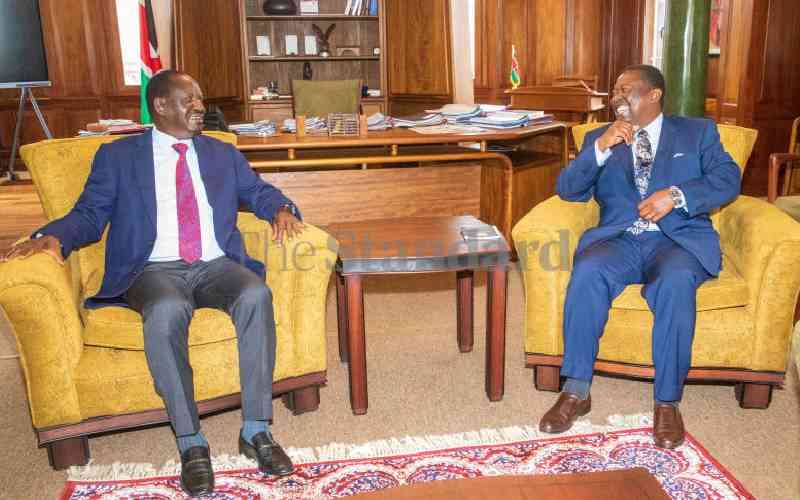 Ruto fine-tunes machinery to lead Raila's campaign for AU top job