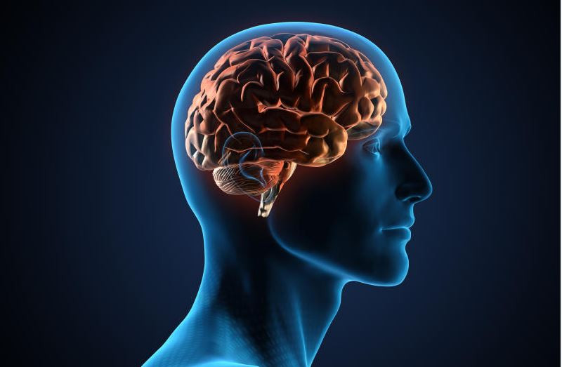 No life without a brain, surgeon cautions