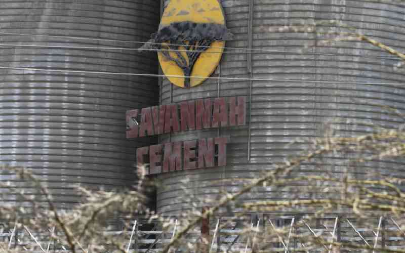 Savannah Cement ups rivalry with Sh37b Kitui clinker plant