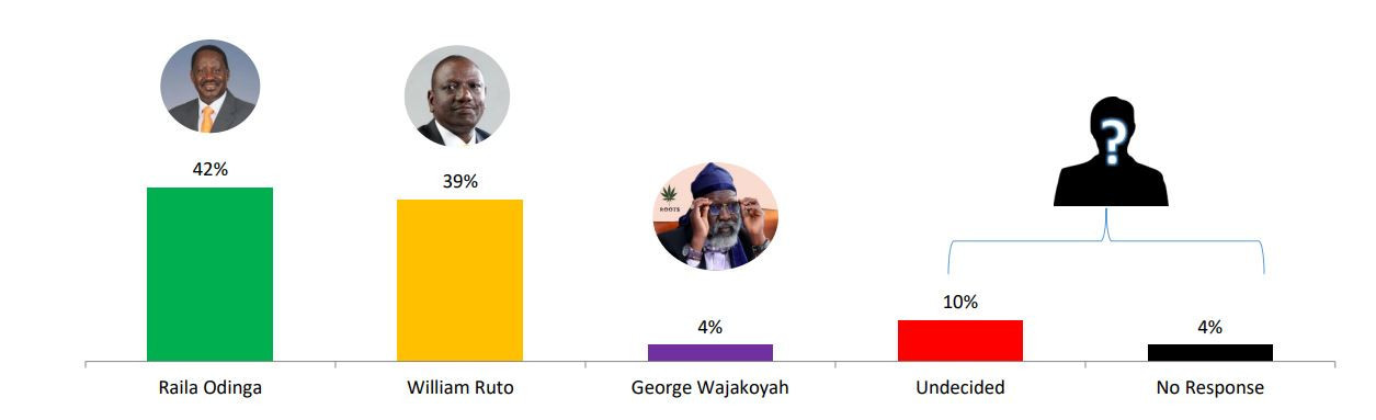 Raila and Ruto in close contest with 3pc margin, says opinion poll