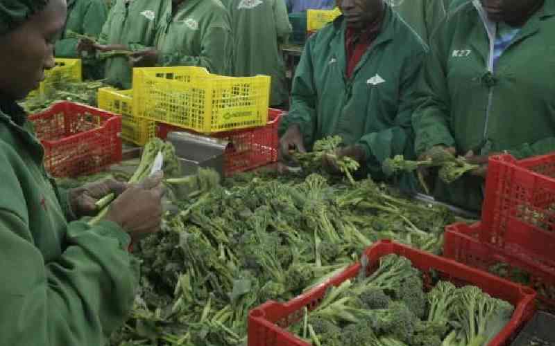 New financing deal to ease cash flow in Kenya's fresh produce sector