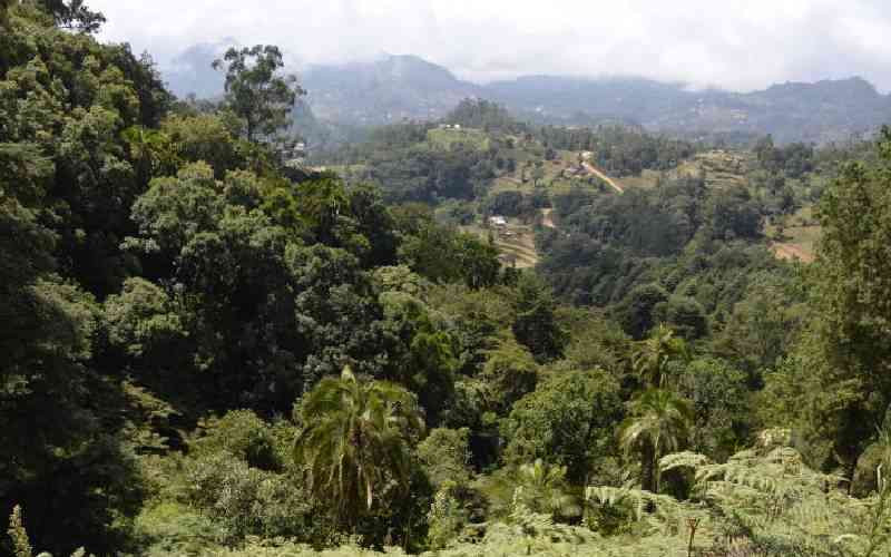Diverse forest ecosystems vital for conservation, climate checks