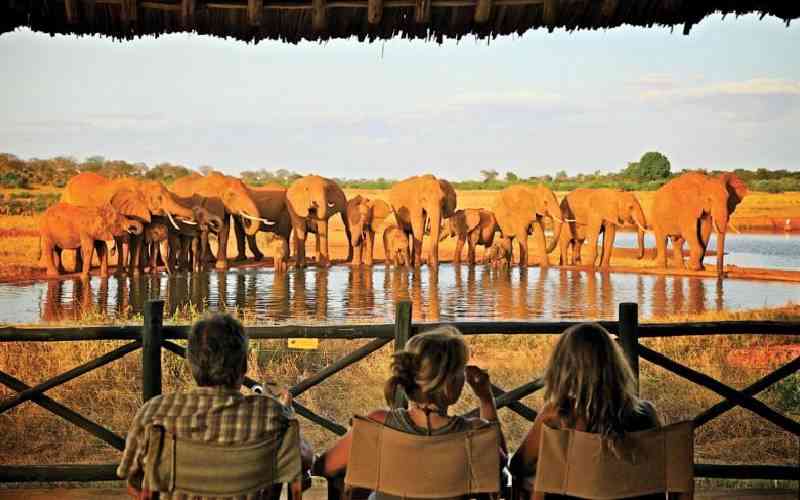 KWS opens its top park lodges and hotels to private investors