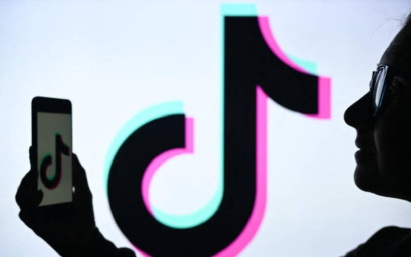 From fundamental rights to data protection: Inside MPs' strict proposals to regulate TikTok
