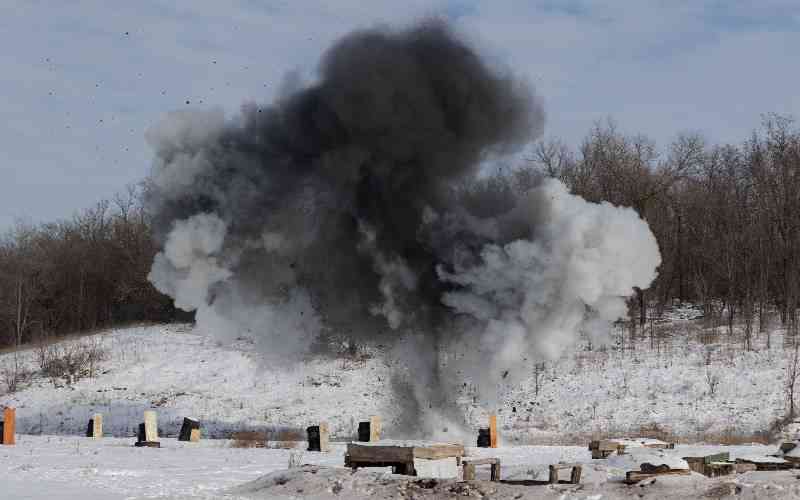 Trump says Putin agrees to pause Kyiv strikes amid harsh cold