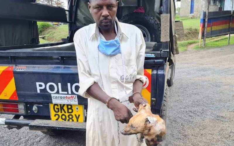 Man arrested for hawking fried dog meat in Kipipiri