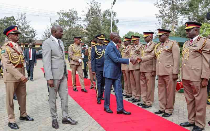 Address mental health challenges in public service, Ruto told