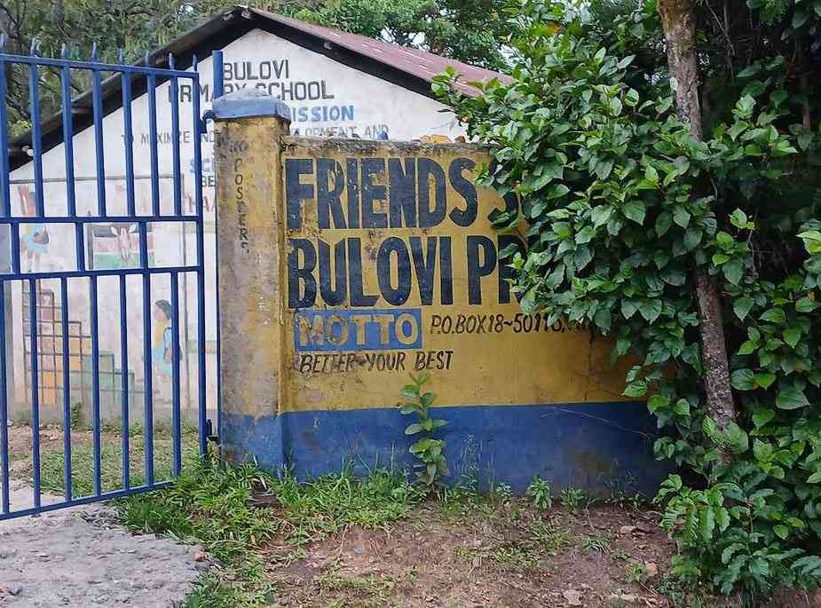 From books to grass: How Friends Bulovi School collapsed