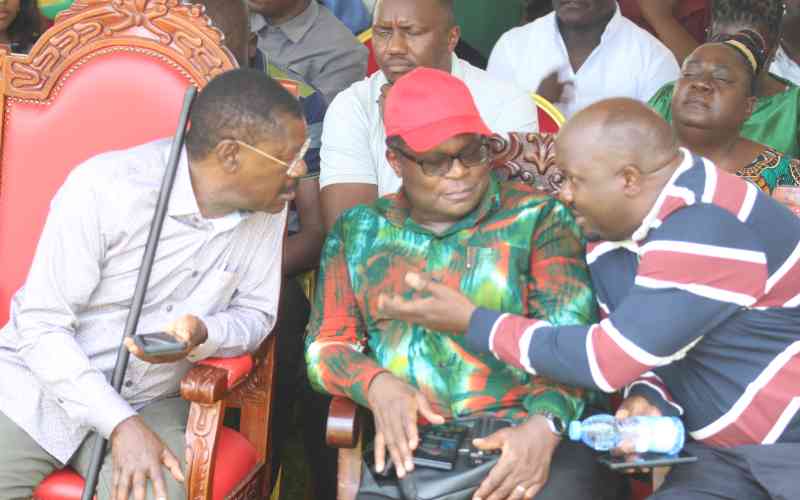 Lusaka cautions Western leaders against early succession politics