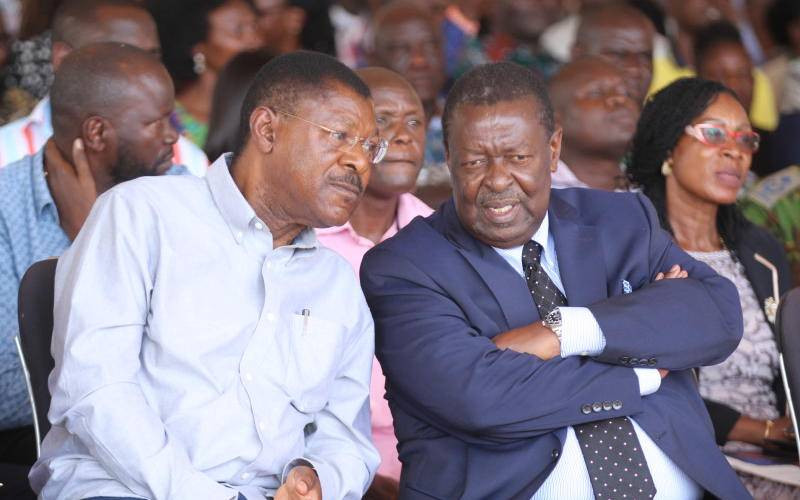 Mudavadi and Wetangula unsuitable to lead the cause of Luhya unity