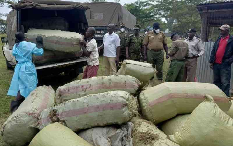 How citizens can help to improve security in border regions