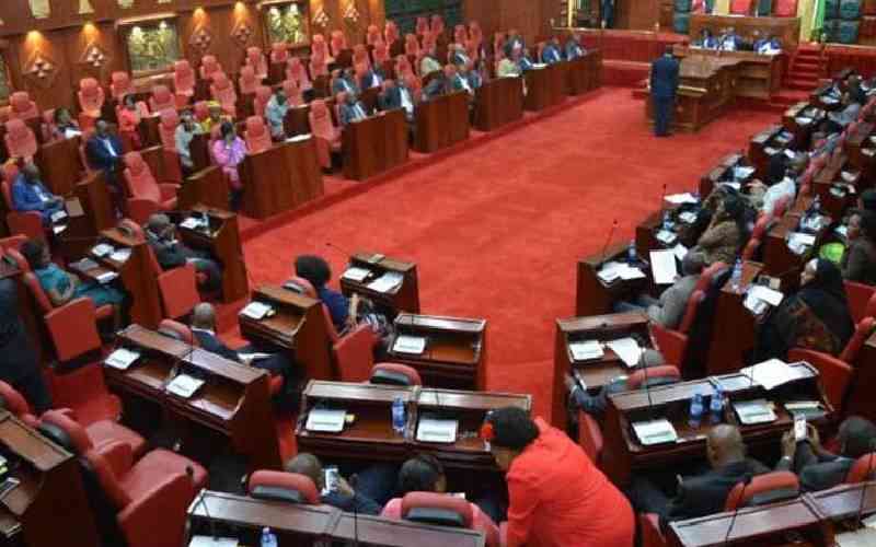 Human Rights group calls out County Assemblies over 'weak' oversight