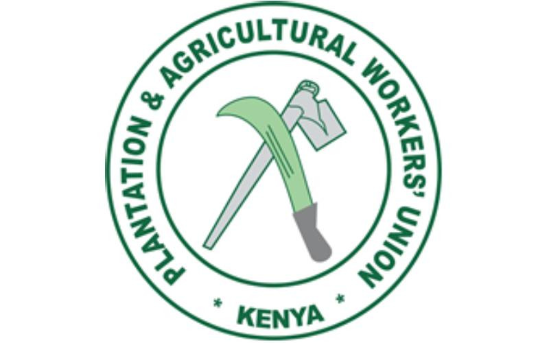 KPAWU statement on sexual harassment in the tea sector