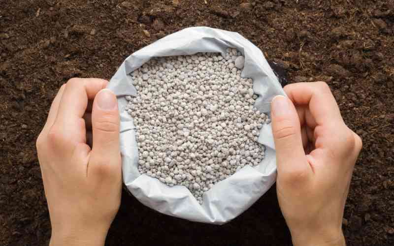 Seven arrested as police bust fake fertiliser racket in North Rift