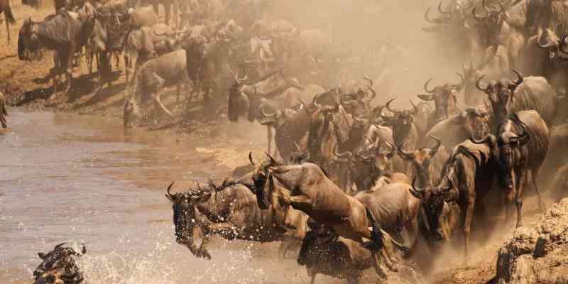 Kenya losing her tourism mojo to neighbours Tanzania and Rwanda