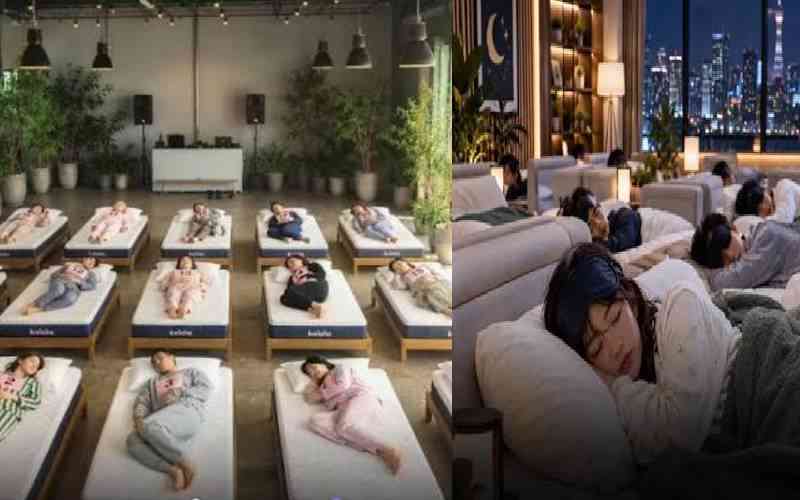 Sleep for Sh1.8m: Japan launches 90-minute napping contest