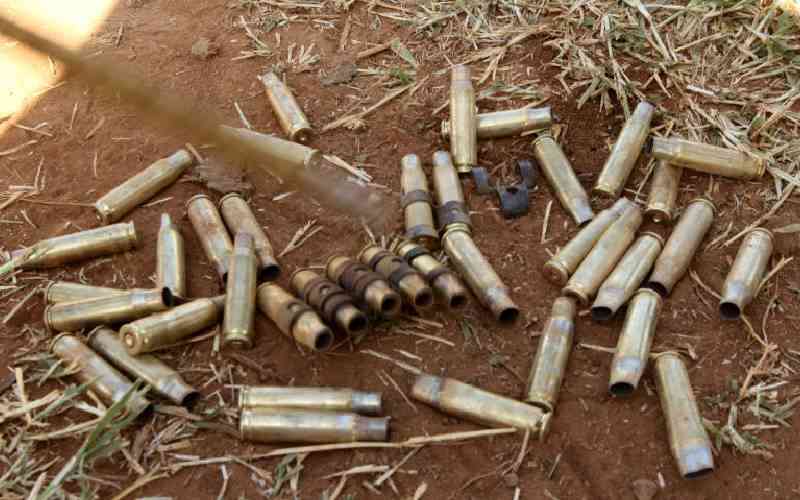 Bandits kill two, drive away goats