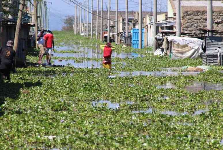 Families displaced by rising waters of Lake Naivasha start returning