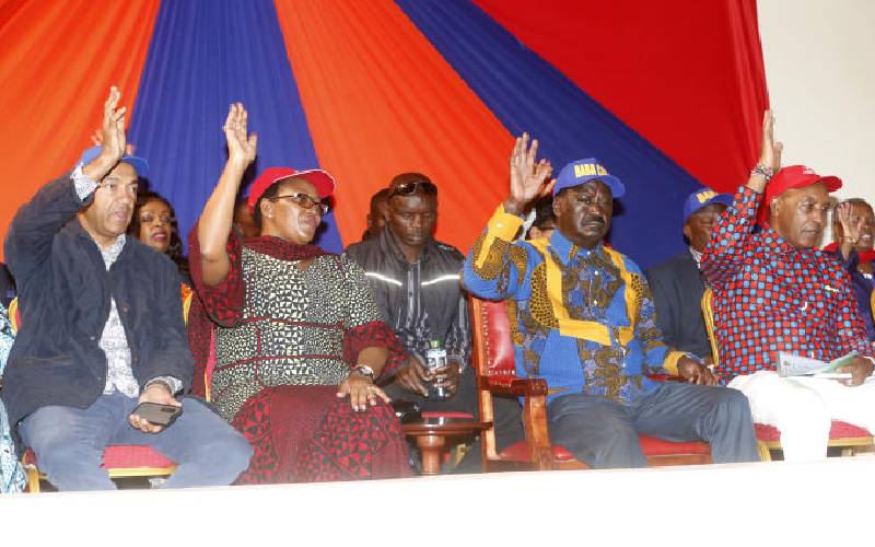 When Raila Odinga climbed Mt Kenya without Uhuru