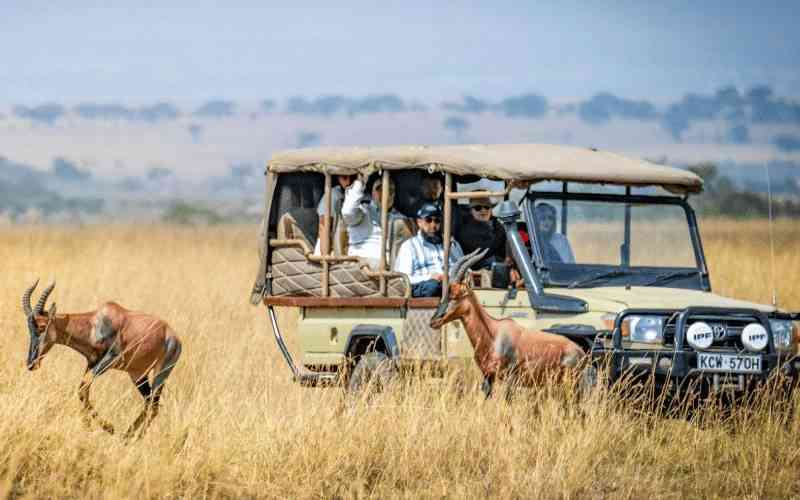 Africa urged to lead global tourism, not just host it
