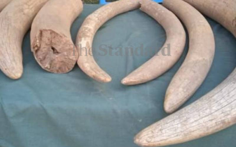 Three businessmen arrested with 58kg of ivory